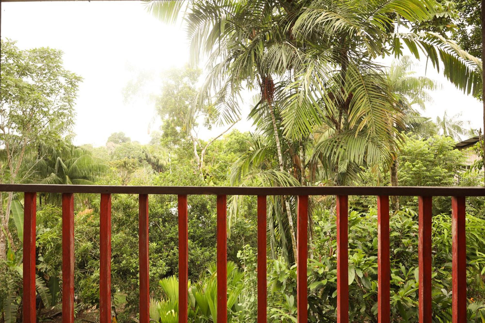 La Ceiba, Amazonas Hotel Leticia Exterior foto